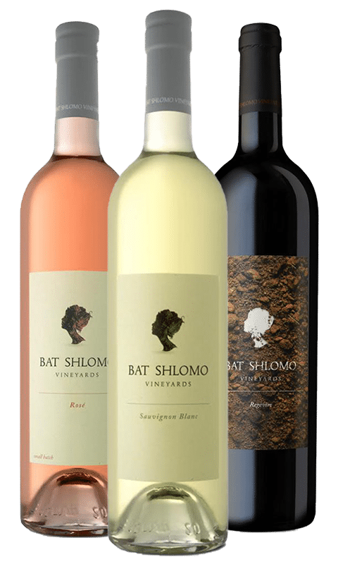 חבילת היכרות בת שלמה